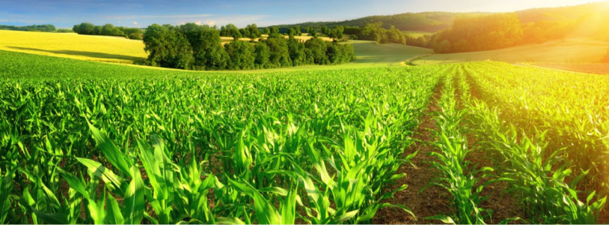 Agrochemicals Technological innovation