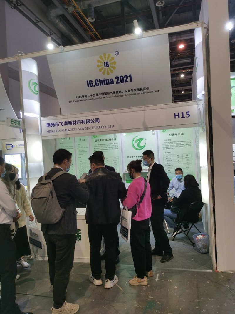 China International Gas Exhibition 2021