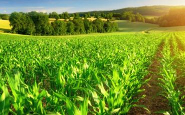 Agrochemicals Technological innovation