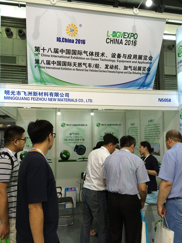 Mingguang FEIZHOU Attending Gas China L-NGVEXPO and Exhibition 2016