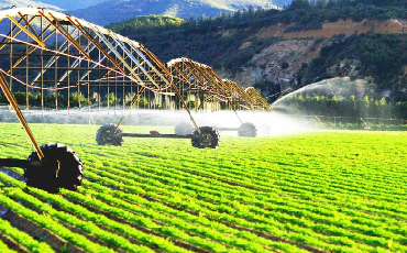 Fertilizer SUSPENDING AGENTS FOR AGROCHEMICAL FORMULATIONS