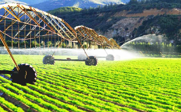 Fertilizer Pesticide SUSPENDING AGENTS FOR AGROCHEMICAL FORMULATIONS