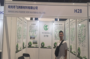 Mingguang FEIZHOU Attending Gas China L-NGVEXPO and Exhibition 2016