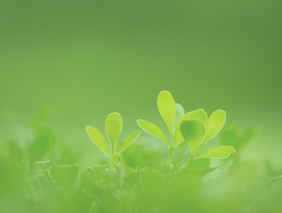 Mingguang Feizhou new materials Co., Ltd.